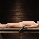 Jessie Saint in 'Fresh Hot Meat: Jessie Saint'