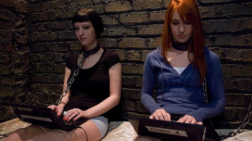Calico and Cherry Torn's Live Feed