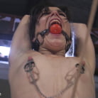 Juliette March in 'Petulance Training: Juliette March'