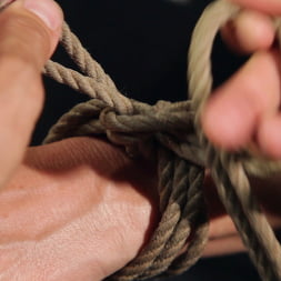 Shibari 101 - Basic Column Ties