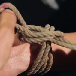 Shibari 101 - Basic Column Ties
