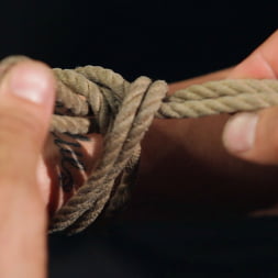 Shibari 101 - Basic Column Ties