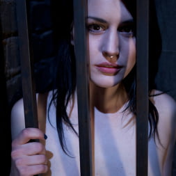 Slave Training of Katherine Cane Day 1