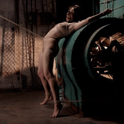 Taken, Tied and Tormented