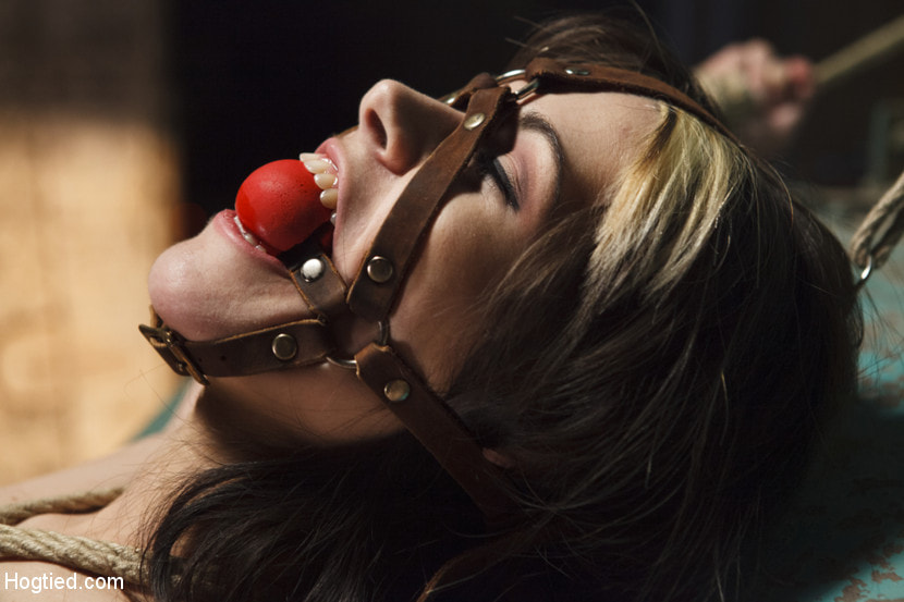 Taken, Tied and Tortured