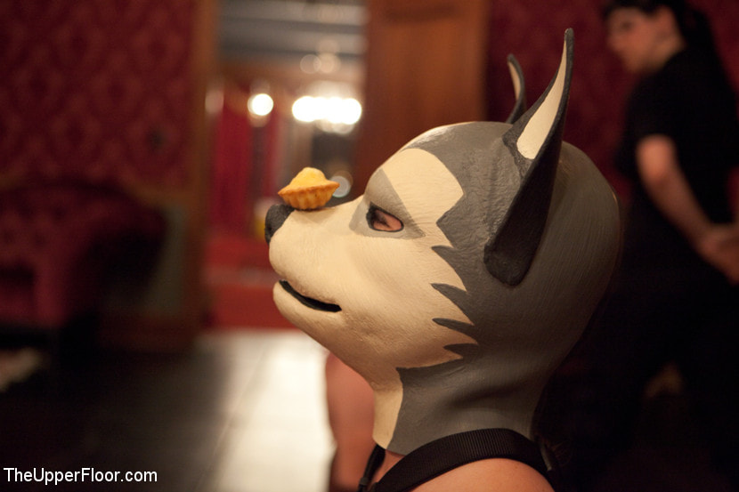 Minx' Puppy Party