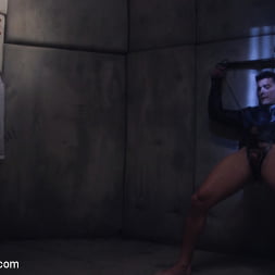 Anal Insanity