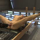 Lea Lexis in 'Question: What's Hotter than A Romanian Gymnast fucking machines...'