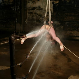 Lovely Lielani Submits to the Armory!