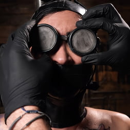 Lily Lane: Brutal Devices