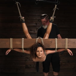 Pure Brutal Bliss