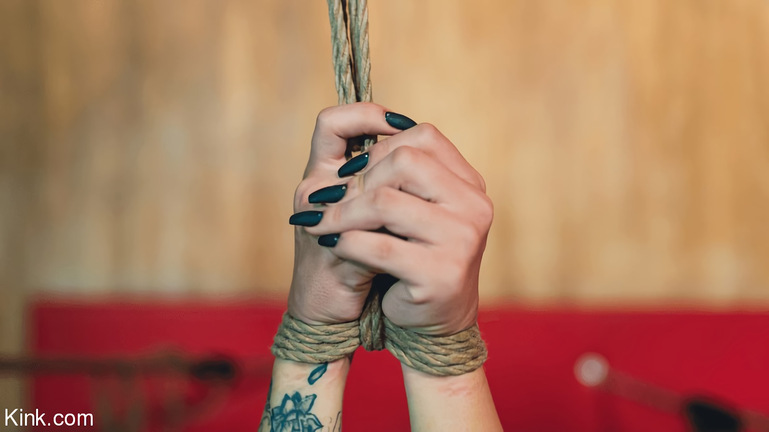 Lola Hendrix: Tied and Tamed For The First Time