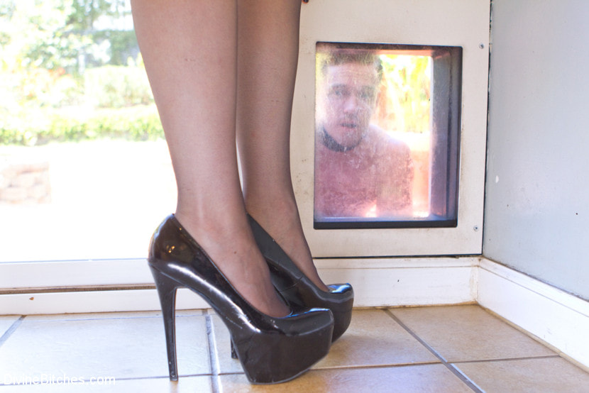Fantasy Package: Domestic Servitude