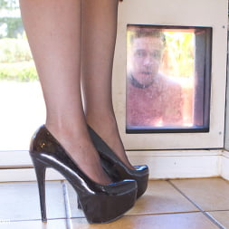 Fantasy Package: Domestic Servitude