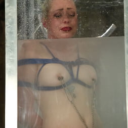 Lorelei Lee and Torque