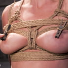 Lorelei Lee in 'The Anal Submission of Lorelei Lee'