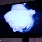 Lorelei Lee in 'Welcome to Electrosluts, Beretta James!!'