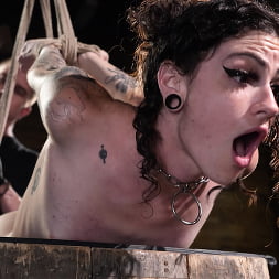 Lydia Black Endures