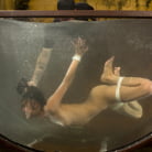 Lyla Storm in 'Extreme Suffering - Lyla Storm'