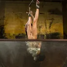 Lyla Storm in 'Extreme Suffering - Lyla Storm'