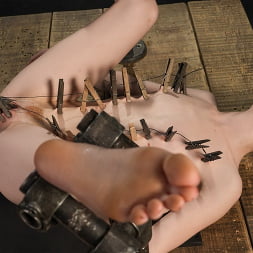 Just Take It