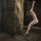 Madison Young in 'CATEGORY 5 ALERT!Strappado suspension!'