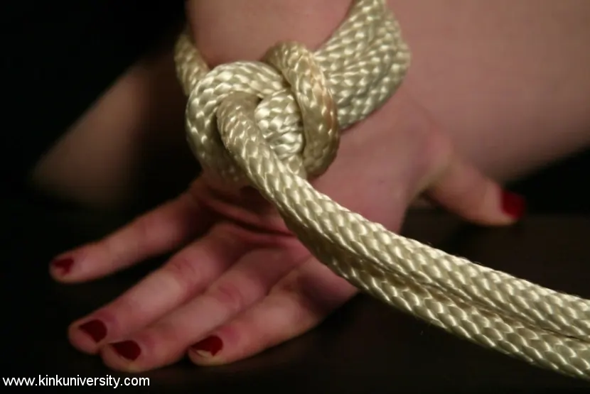 Madison Young - Los dos chicos nudosos comparten algunos conceptos básicos de bondage con cuerdas | Picture (6)