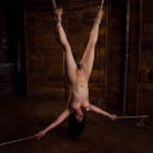 Maggie Mayhem in 'Fuck Over a Barrel IN a Barrel for Maggie!'