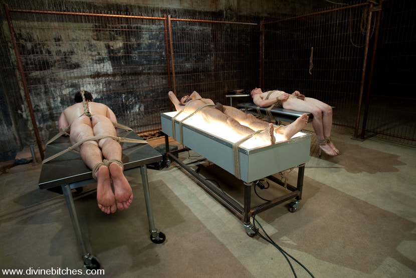 Three Slaveboys Milked