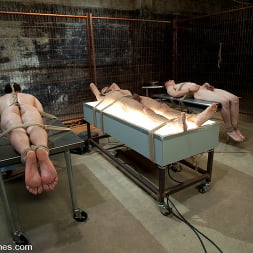 Three Slaveboys Milked