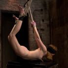 Mallory Mallone in 'Mallory Malone Back For More!'