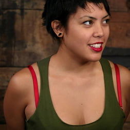 Maya