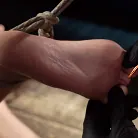 Maya Woulfe in 'Fresh Meat: Maya Woulfe Endures Extreme Bondage and Nonstop Torment'