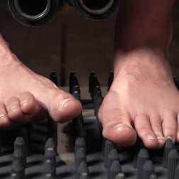 Maya Woulfe: Diabolical Devices