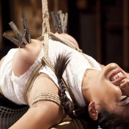 Mia Li's First Anal Bondage