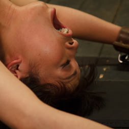 Hot Babe Tormented in Hard Bondage
