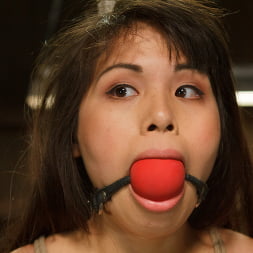 Hot Babe Tormented in Hard Bondage