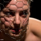 Missy Minks in 'Breaking the Innocent'