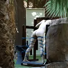 Mistress Tangent in 'Rebecca Vanguard is Eager To Please Sexy Mistress Tangent'