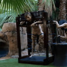 Mistress Tangent in 'Rebecca Vanguard is Eager To Please Sexy Mistress Tangent'