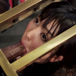 An Evil Anal Slave and Her New Pet
