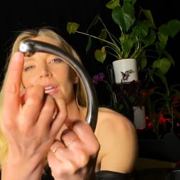 Mona Wales: A Desire For Servitude