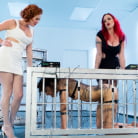 Mz Berlin in 'Audrey Hollander and Mz Berlin Get Worshipped, Electrosluts Style!'