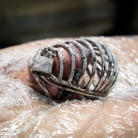 Mz Berlin in 'Mz Berlin's Casting Call Humiliation'