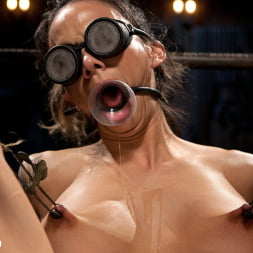 Big Tits Tormented in Demented Device