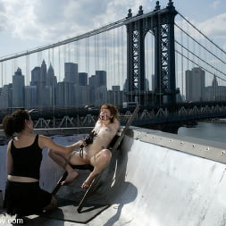 WIREDPUSSY IN NEW YORK 5