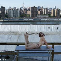 WIREDPUSSY IN NEW YORK 5