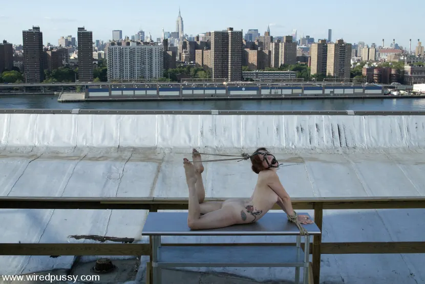 Nadia Styles - WIREDPUSSY IN NEW YORK  5 | Picture (7)