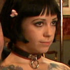 Nerine Mechanique in 'Battle for Cock'