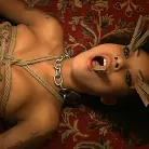 Nerine Mechanique in 'Service Day: Flesh'